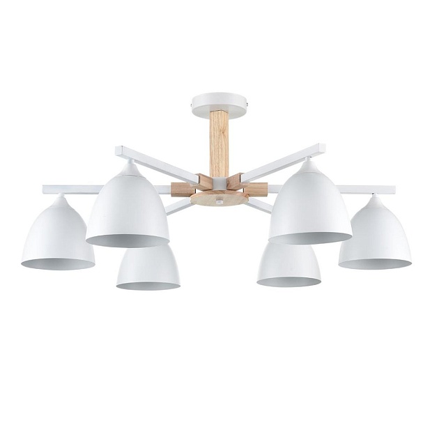 Потолочная люстра Lumion Moderni Colange 8095/6C изображение 1 Потолочная люстра Lumion Moderni Colange 8095/6C Фото № 1