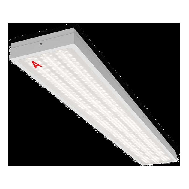 Потолочный светильник WOLTA STD ДПО13-54-142-4К Фото № 1