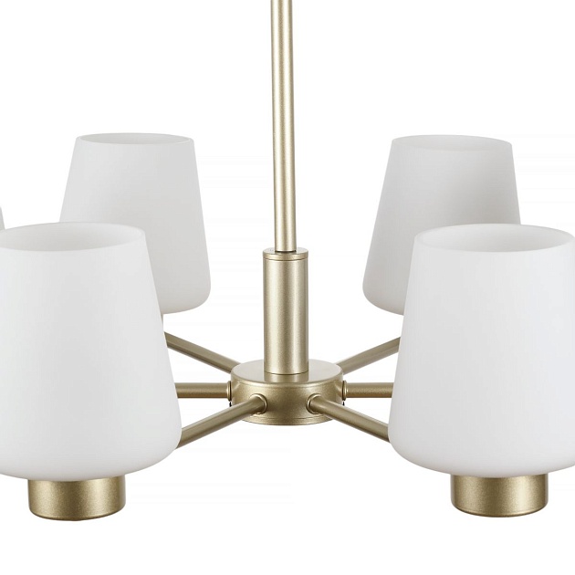 Подвесная люстра MyFar Mark MR2341-6P Фото № 4