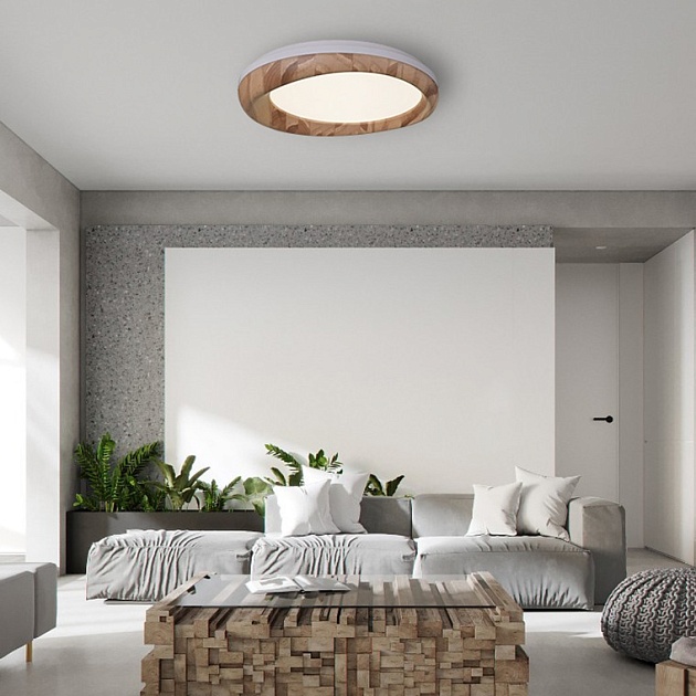 Потолочный светодиодный светильник Imperium Loft Runis 140974-26 Фото № 11