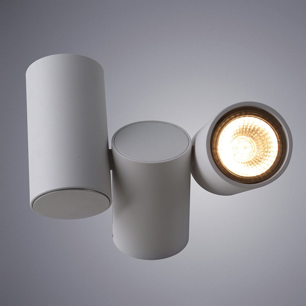 Потолочный светильник Divinare Gavroche 1354/03 PL-2 изображение 2 Потолочный светильник Divinare Gavroche 1354/03 PL-2 Фото № 2