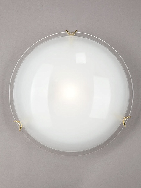 Настенно-потолочный светильник Vitaluce V6281/1A Фото № 2