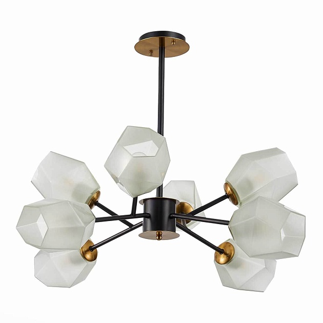 Подвесная люстра Evoluce TERRAMO SLE205102-08 Фото № 3