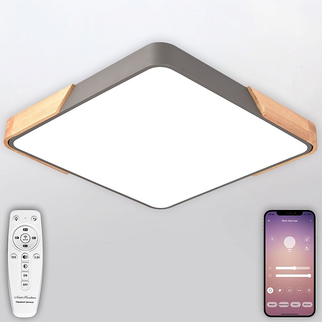 Потолочный светодиодный светильник Natali Kovaltseva LED LAMPS 81413 изображение 6 Потолочный светодиодный светильник Natali Kovaltseva LED LAMPS 81413 Фото № 6