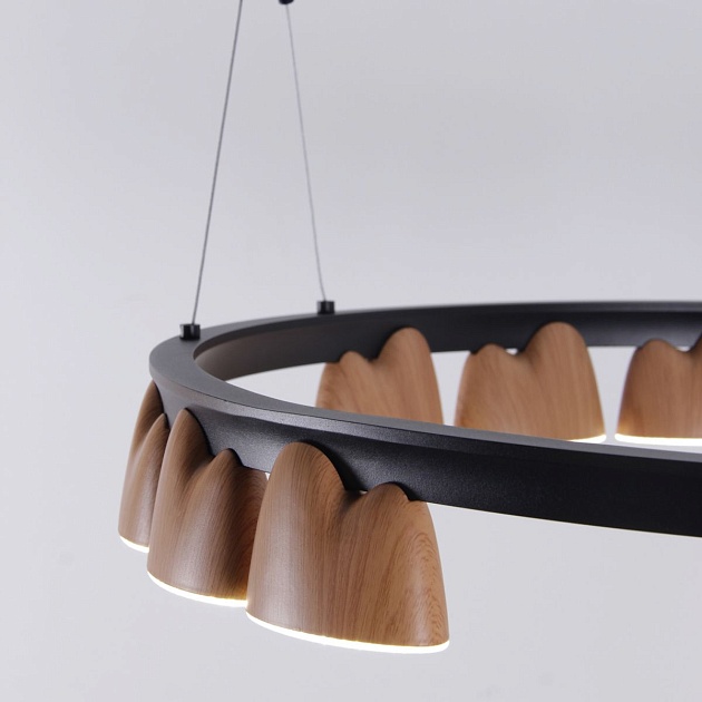 Подвесная светодиодная люстра Favourite Interline 4266-21P Фото № 8