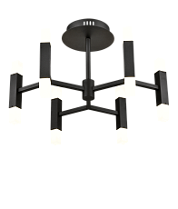 Потолочный светильник Vele Luce Niami VL7142L12 5