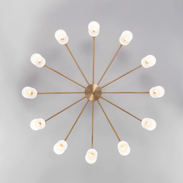 Потолочная люстра Eurosvet Vegga 70160/12 латунь Smart Фото № 3