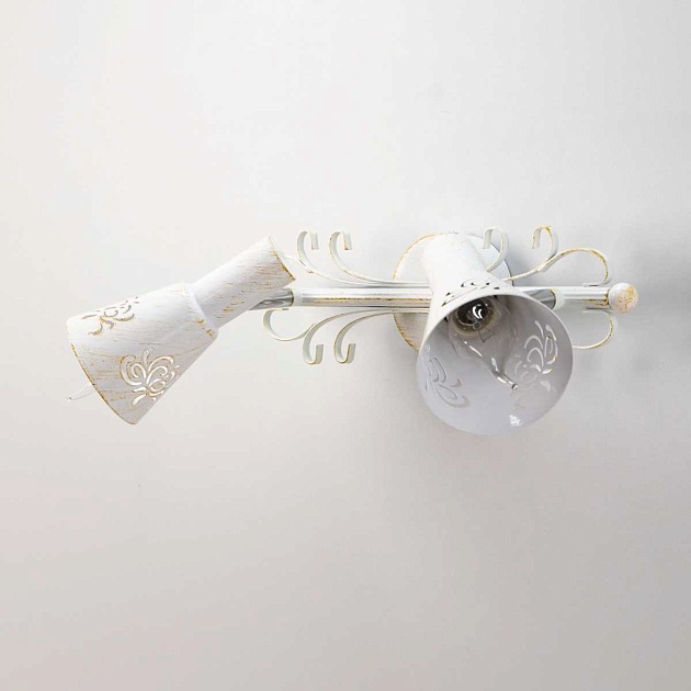 Спот Citilux Дункан CL529522 изображение 13 Спот Citilux Дункан CL529522 Фото № 13