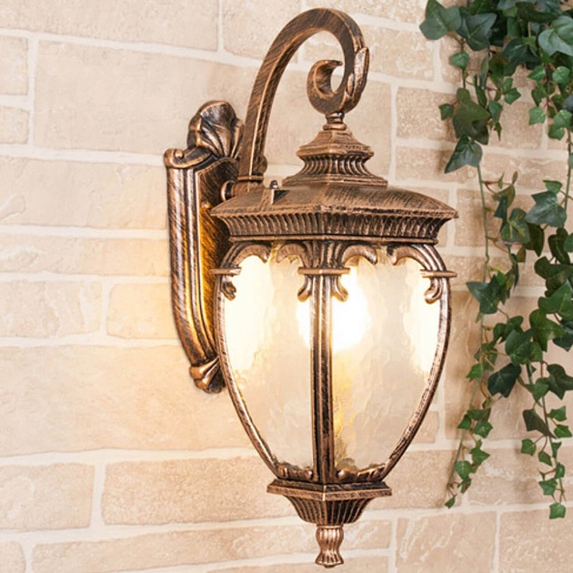 Уличный настенный светильник Elektrostandard Andromeda D (GLYF-8024D) a027996 Фото № 1