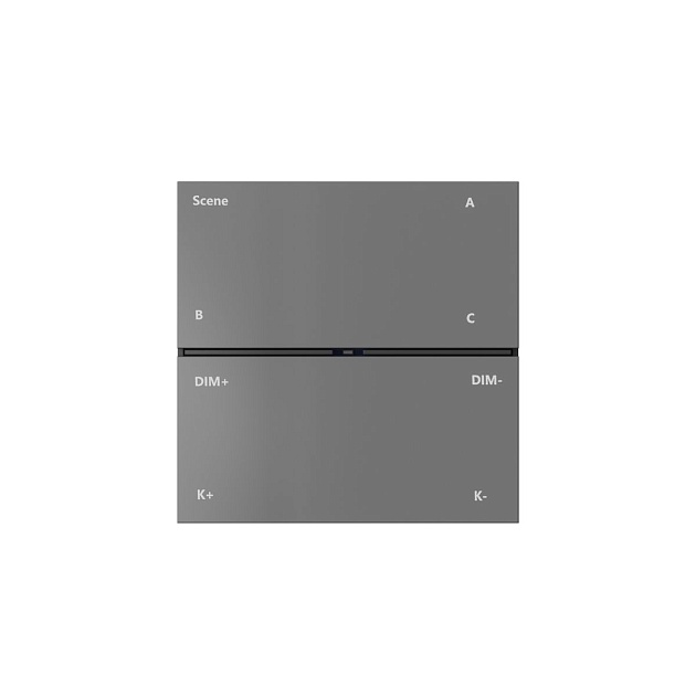 Панель управления Denkirs Control BT DK7201-DG Фото № 2