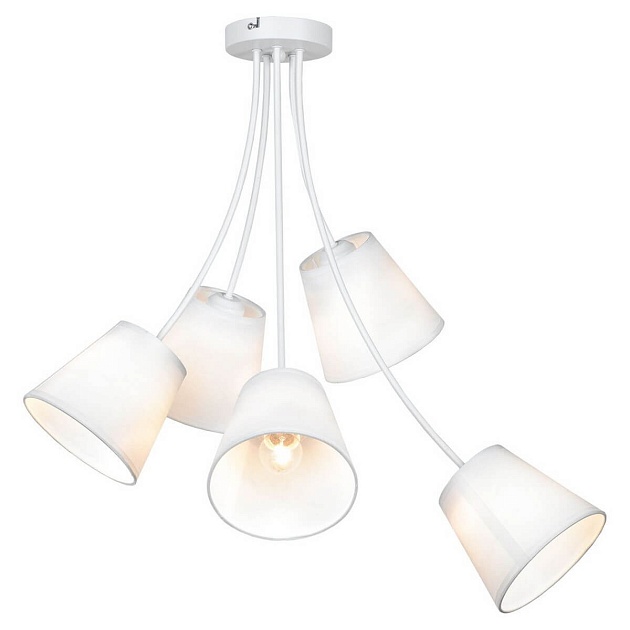 Подвесная люстра Lussole Lgo Lafayette GRLSP-8267 Фото № 1