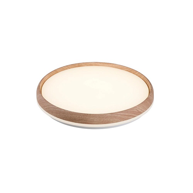 Настенно-потолочный светильник Camelion LBS-7738 14532 Фото № 1