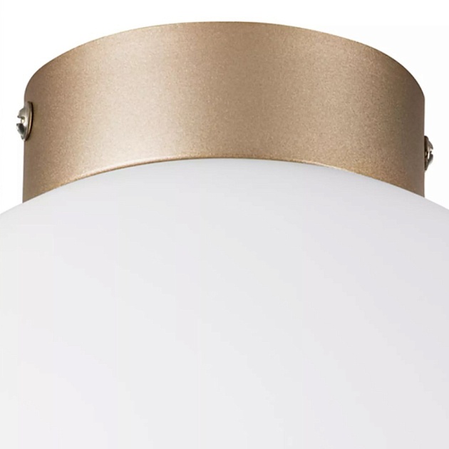 Настенно-потолочный светильник Lightstar Globo 812023 Фото № 2