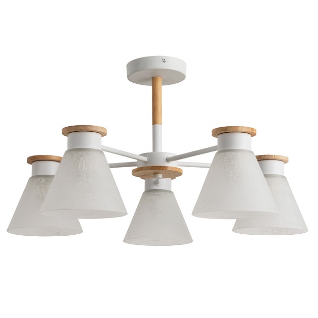 Потолочная люстра Arte Lamp Tyler A1031PL-5WH изображение 1 Потолочная люстра Arte Lamp Tyler A1031PL-5WH Фото № 1