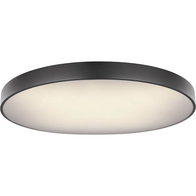 Потолочный светодиодный светильник Globo Wiss 41744-60S Фото № 1