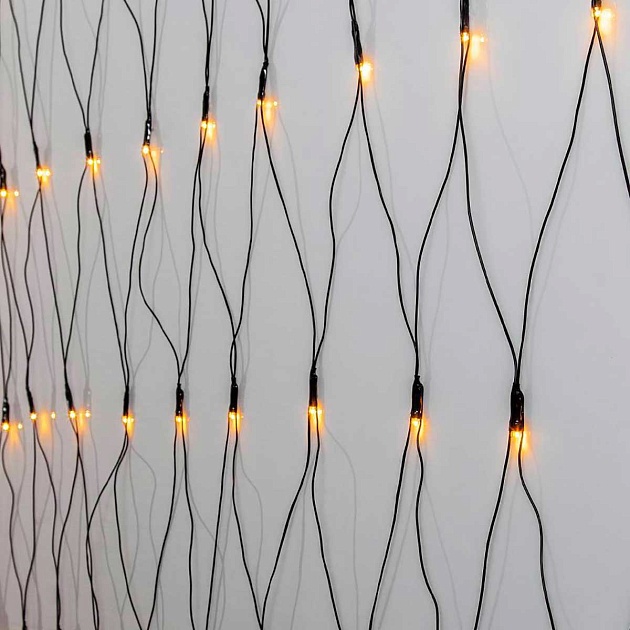 Светодиодная гирлянда Eglo GOLDEN WARM WHITE 411525 Фото № 1