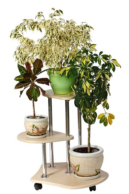 Подставка для цветов Мебелик Двоечка 006297 изображение 4 Подставка для цветов Мебелик Двоечка 006297 Фото № 4