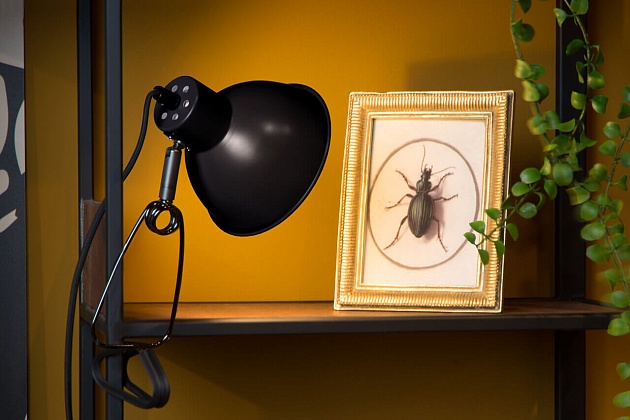 Настольная лампа Lucide Moys 45987/01/30 изображение 8 Настольная лампа Lucide Moys 45987/01/30 Фото № 8