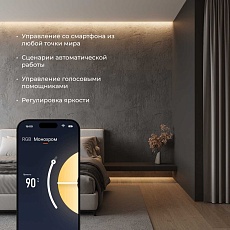 Контроллер для светодиодных лент RGBW Elektrostandard (Умный дом) 95001/00 a055253 4