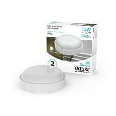 Потолочный светодиодный светильник Gauss Сауна 126411212 1