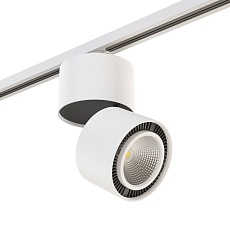 Комплект с трековым светильником Lightstar Forte Muro (592066+214850) A1T214850