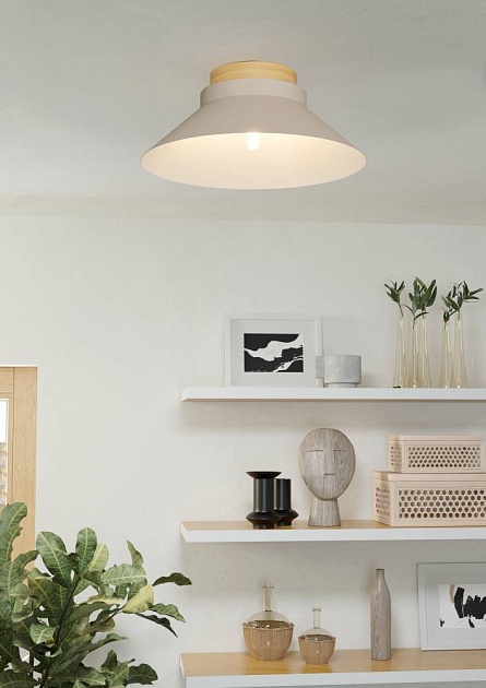 Потолочный светильник Eglo Moharras 900736 Фото № 2