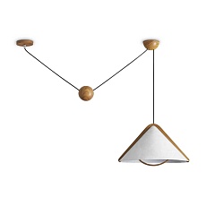 Потолочный светильник Freya Modern FR5554CL-01T 2