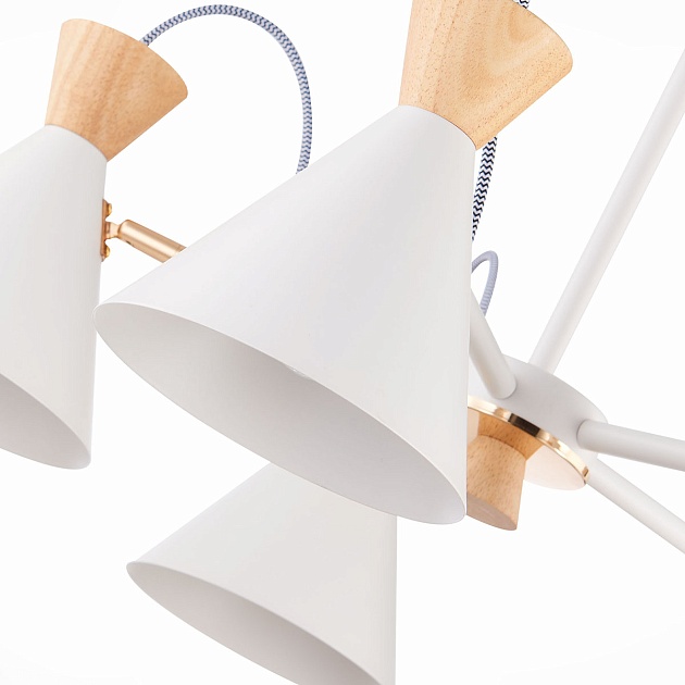 Потолочная люстра Evoluce Modica SLE125102-05 изображение 2 Потолочная люстра Evoluce Modica SLE125102-05 Фото № 2