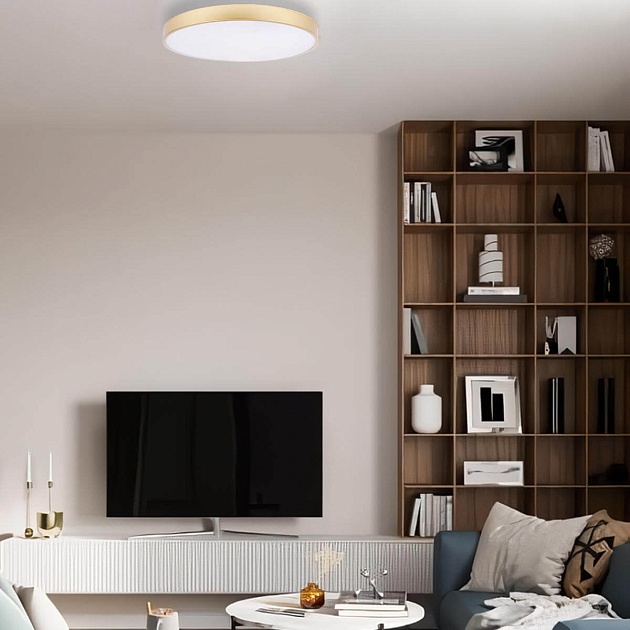 Потолочный светодиодный светильник Loft IT Flims 10228/B Фото № 5
