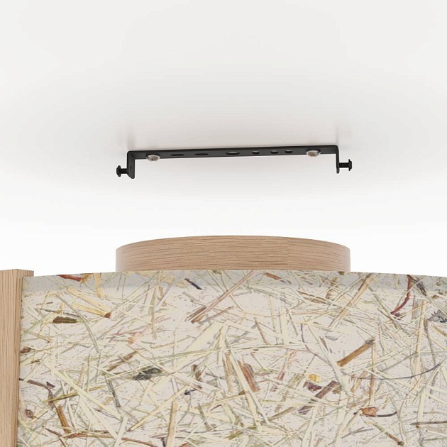 Потолочный светильник Eglo Hontongas 390322 Фото № 5