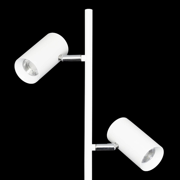 Торшер Citilux CL809010N Фото № 2