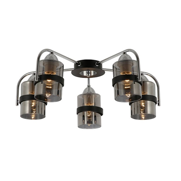 Потолочная люстра Evoluce Fiumo SLE102002-05 изображение 1 Потолочная люстра Evoluce Fiumo SLE102002-05 Фото № 1