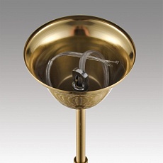 Подвесная люстра Lumion Classi Kristina 8243/8 2