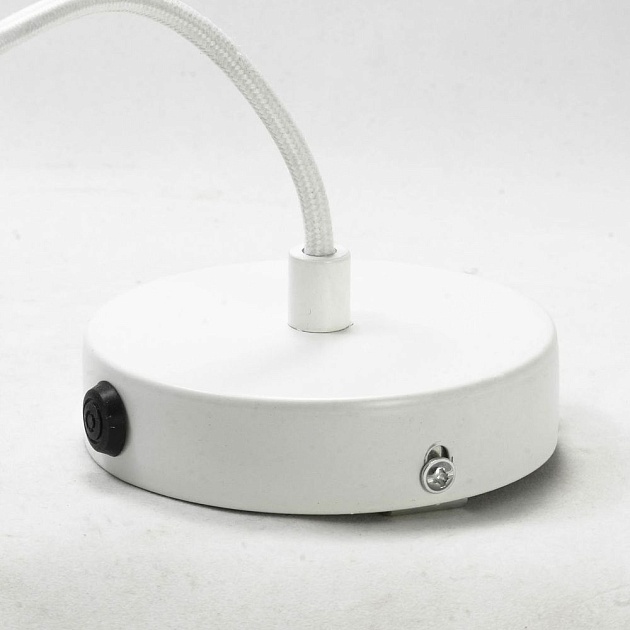 Подвесной светильник Lussole Loft Tanaina GRLSP-9559 Фото № 7