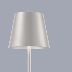 Настольная лампа F-Promo Pyari 4617-1T 5