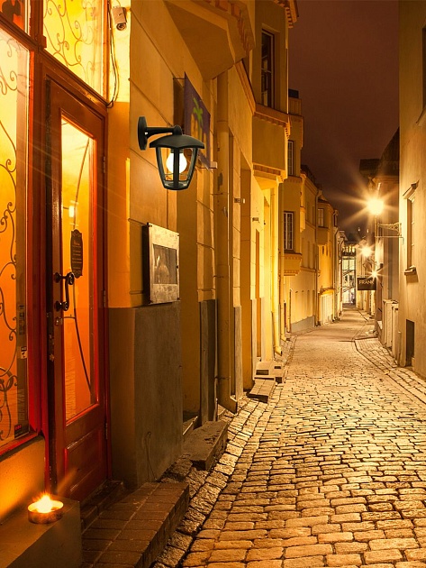 Уличный настенный светильник Apeyron Дели 11-165 изображение 6 Уличный настенный светильник Apeyron Дели 11-165 Фото № 6