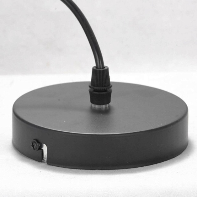 Подвесной светильник Lussole Lgo Bossier LSP-8273 Фото № 2