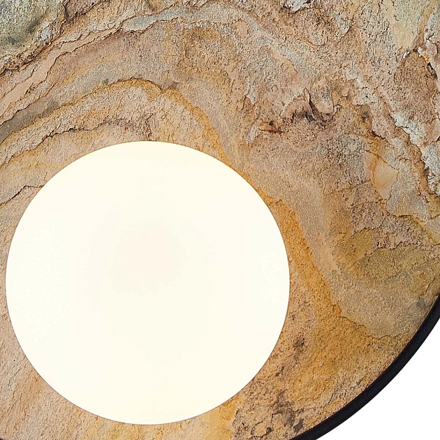 Настенный светильник Favourite Messier 4594-1W Фото № 3