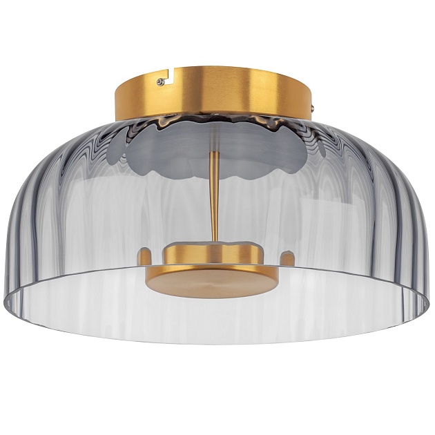 Потолочный светодиодный светильник Lightstar Celesta 809061 изображение 1 Потолочный светодиодный светильник Lightstar Celesta 809061 Фото № 1