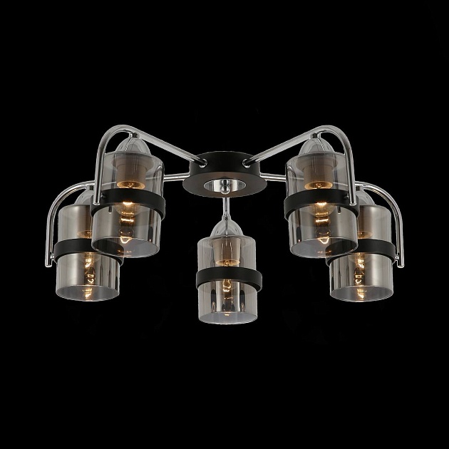 Потолочная люстра Evoluce Fiumo SLE102002-05 изображение 2 Потолочная люстра Evoluce Fiumo SLE102002-05 Фото № 2