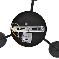 Люстра Lumion NATALINA 8349/6C 1