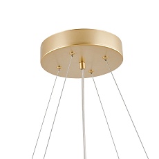 Подвесной светодиодный светильник Favourite Asterismo 4448-8P 2