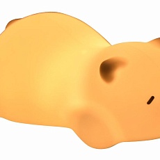 Ночник LEEK LE062101-0019