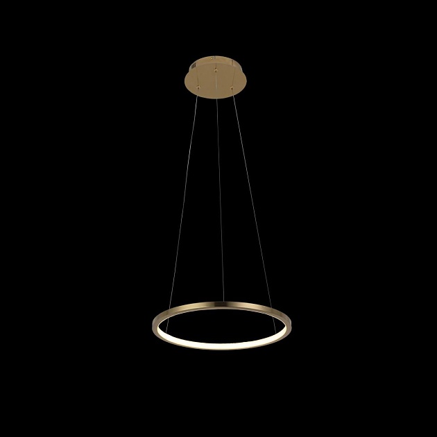 Подвесной светодиодный светильник Loft IT Ring 10014S Фото № 4