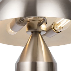 Настольная лампа Freya Eleon FR5218TL-02N 5