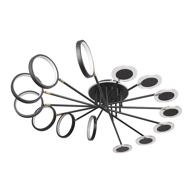 Потолочная светодиодная люстра Loft IT Megan 10164L Black Фото № 1