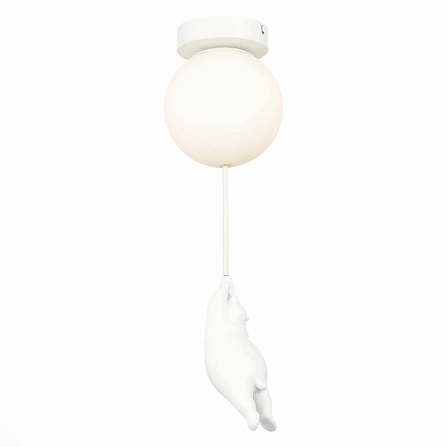 Потолочный светильник Evoluce MODENA SLE115402-01 изображение 1 Потолочный светильник Evoluce MODENA SLE115402-01 Фото № 1