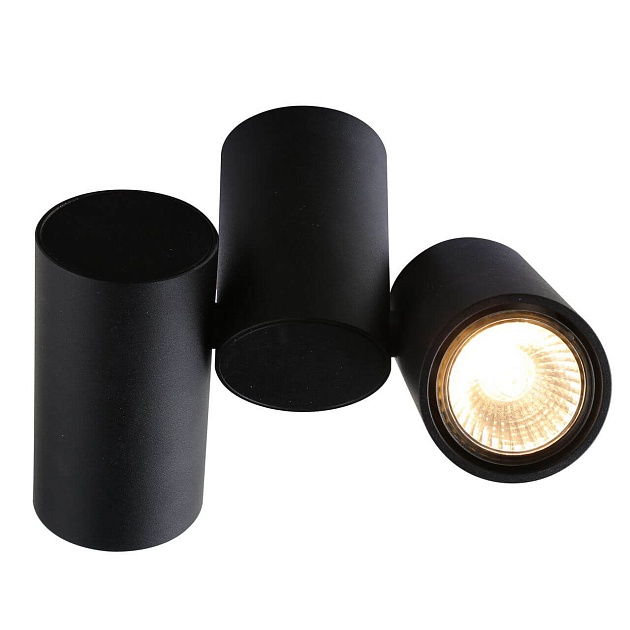 Потолочный светильник Divinare Gavroche 1354/04 PL-2 Фото № 1