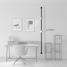 Трековая ременная система Denkirs Belty Set DK55SET10-01-DG 1