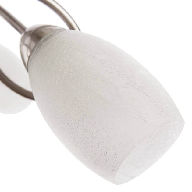 Потолочная люстра Arte Lamp Mutti A8616PL-3SS изображение 3 Потолочная люстра Arte Lamp Mutti A8616PL-3SS Фото № 3